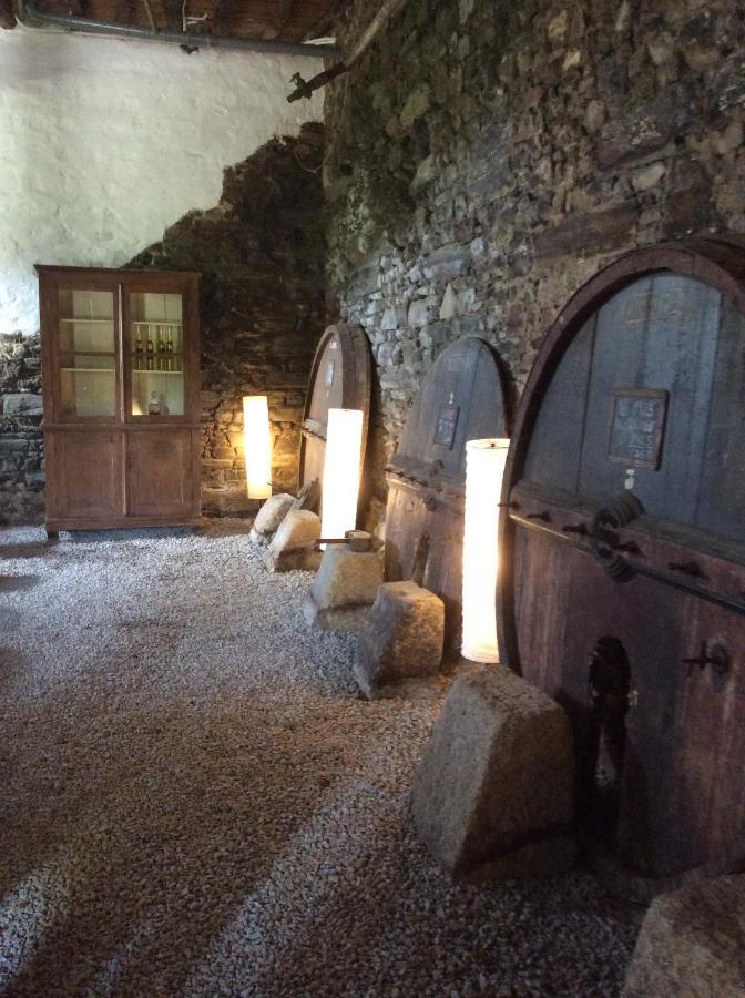 Bed and Breakfast Quinta Do Fojo Lamego Esterno foto