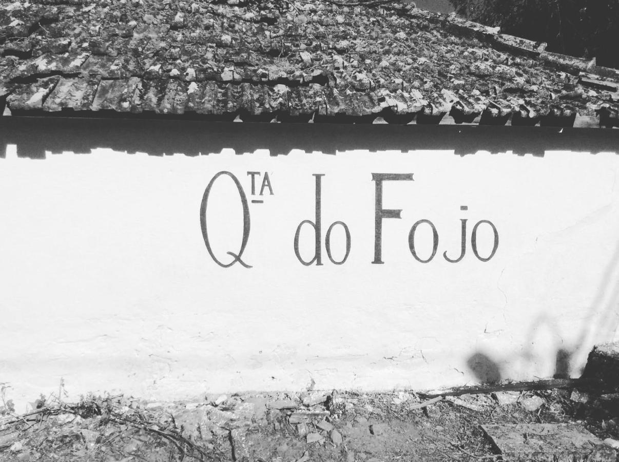 Bed and Breakfast Quinta Do Fojo Lamego Esterno foto