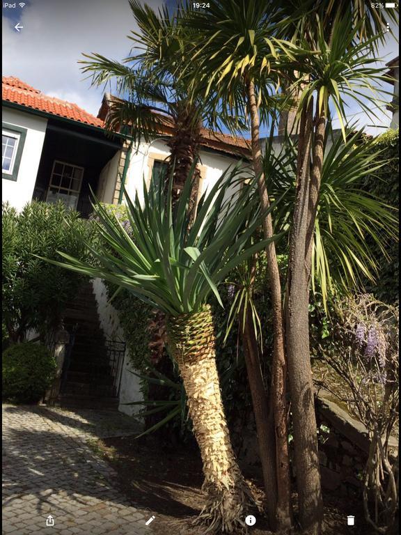 Bed and Breakfast Quinta Do Fojo Lamego Esterno foto