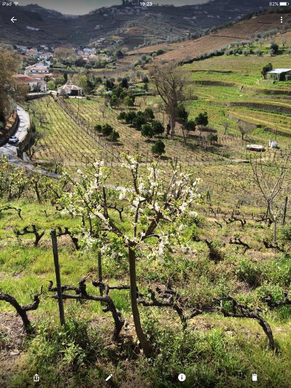 Bed and Breakfast Quinta Do Fojo Lamego Esterno foto