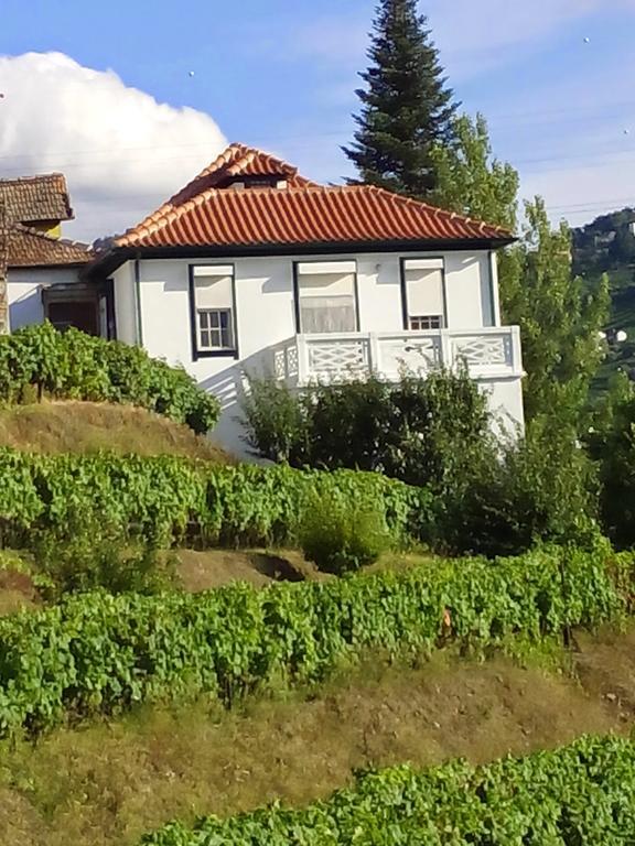 Bed and Breakfast Quinta Do Fojo Lamego Esterno foto