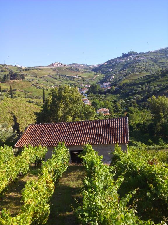 Bed and Breakfast Quinta Do Fojo Lamego Esterno foto