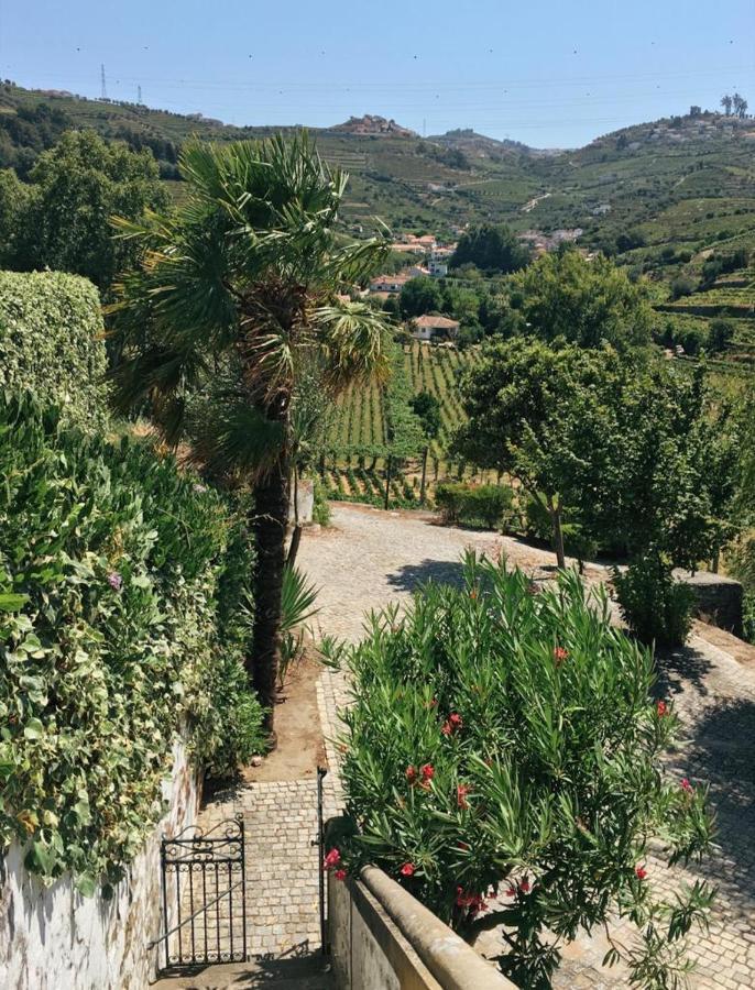 Bed and Breakfast Quinta Do Fojo Lamego Esterno foto